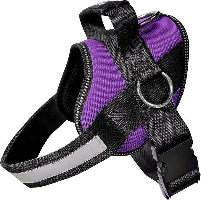 Joyride Basic Dog Harness 1.0 | Purple Majesty | L | Adjustable pet vest with 3 side leash rings for training, walking and improved control for small, medium or large dogs by JoyrideHarness