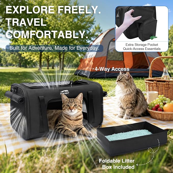 Pet Carrier for Small Dogs & Cats, Airline Approved, Lightweight, Foldable, Comfortable Travel Bag with Plush Cushion & Extra Storage (Black) - Image 6