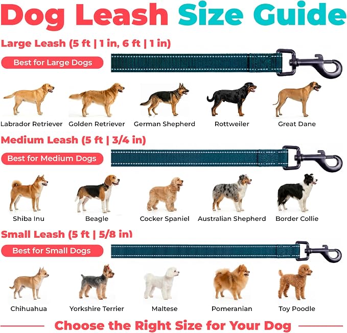 Best Pet Supplies Voyager Nylon Dog Leash - 6ft Blue, Large | 6ft in Length, 1" in Width, Reflective, Soft Neoprene Handle, Heavy Duty Metal Clips for Running, Walking & Training - Image 6