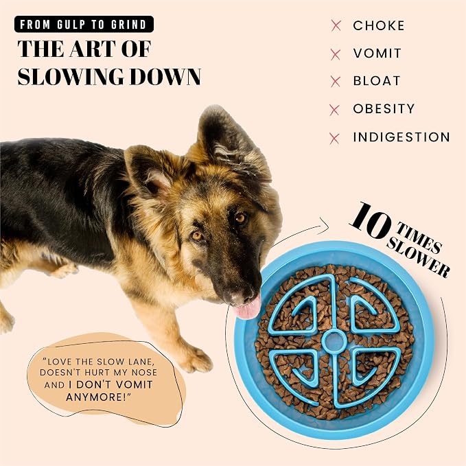 AVERYDAY Slow Feeder Dog Bowls for Large Breeds Fits Raised Feeding Station, Puzzle Dog Food Bowls to Slow Down Eating, Dogs Feeding Bowl with Non-Slip, Slows Feeder Pet Bowl for Wet and Dry Food - Image 2
