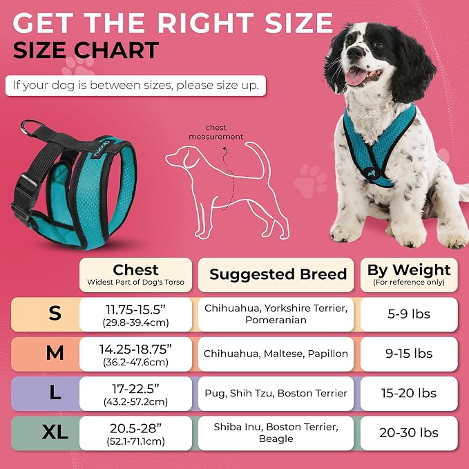 Gooby Comfort X Head-in Dog Harness, Choke-Free, Turquoise, Small | Patented choke-free X-frame; Secure head-in fit; Lightweight breathable mesh; Back metal D-ring; Machine washable - Image 3