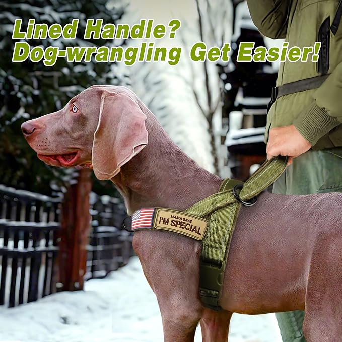 Forestpaw No Pull Dog Harness with Large Handle,Comfortable,L,Green | Adjustable Fits Chest 26-31",50-80 lbs,Slip On,Quick Release,Easy Control,Soft Padded,for Medium Large Dogs Walking Training - Image 3
