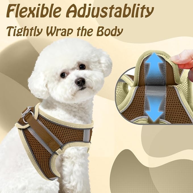 AIITLE Medium Dog Harness and Leash Set, Step-in Puppy Pet Vest, Beige L | Light, Soft, Breathable Air Mesh, Escape-Proof, Easy on and Remove with Hook & Loop, Secure Reflective for Walking - Image 5