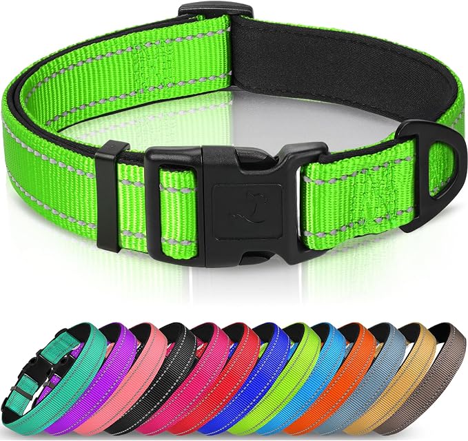 Joytale Reflective Dog Collar, Adjustable Neoprene Padded, Green S | Breathable Nylon for Small Dogs, No Chafing on Daily Walks and Training, Gentle on Neck, Secure Metal D-Ring, Night Safety by Joytale