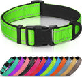 Joytale Reflective Dog Collar, Adjustable Neoprene Padded, Green S | Breathable Nylon for Small Dogs, No Chafing on Daily Walks and Training, Gentle on Neck, Secure Metal D-Ring, Night Safety by Joytale