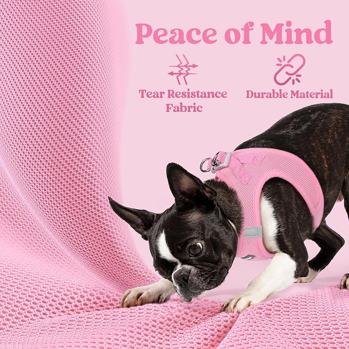 rabbitgoo Step-in Small Dog Harness, Puppy Vest for Small Sized Pet | Easy Put on and off, Lightweight, Soft, Breathable Quick-Dry Air Mesh for Comfortable Secure Walking, Light Pink M - Image 4