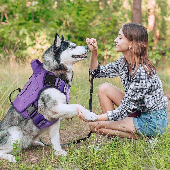 WINGOIN Purple Tactical Dog Harness for Small Dogs,No Pull Dog Harness | with Handle,Adjustable Reflective,Military K9 Style,Big Size Dog Vest,for German Shepherd,for Walking Training Hunting - Image 6