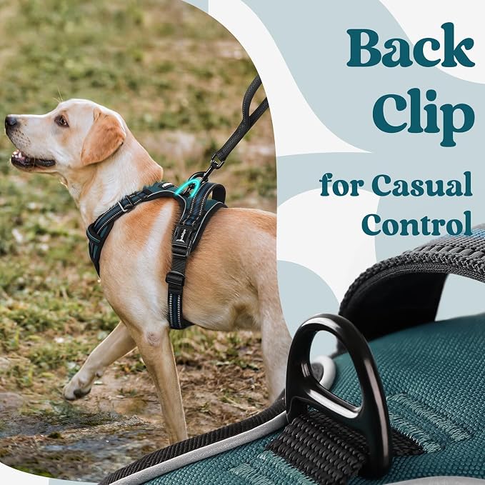 rabbitgoo Dog Harness Small Sized, Updated Easy On & Off with 3 Buckles | No Pull No Choke, Walking with 2 Clips and Handle, Adjustable Soft Reflective, Blue Coral, Small - Image 6