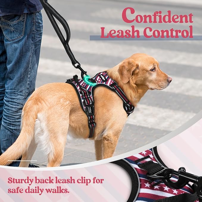 rabbitgoo Dog Harness, No Pull for Small Dogs with 2 Leash Clips, Pet Vest | No Choke with Handle, Adjustable Soft Padded, Reflective, Easy Control for Walking, Red Stripe, Small - Image 6