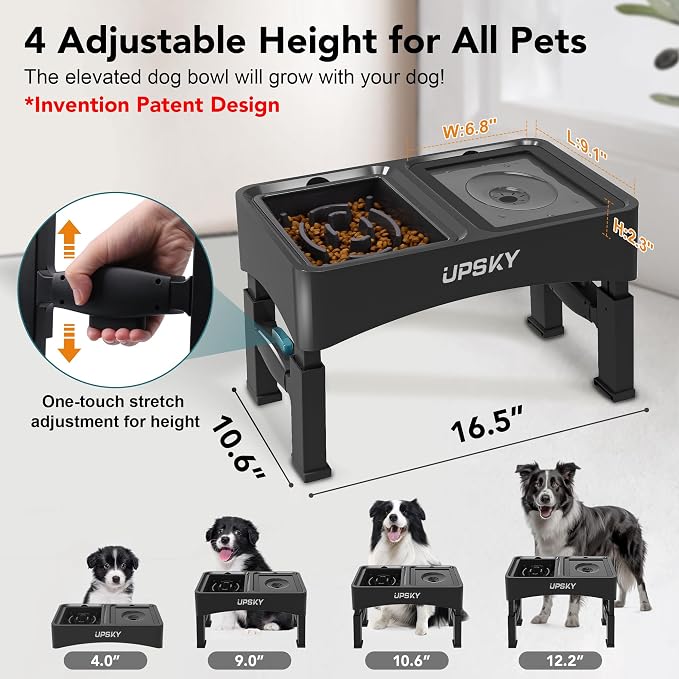 UPSKY 2-in-1 Elevated Dog Bowls Set with 4 Height Adjustable Stand, Balck | No Spill Water Bowl, Slow Food Bowl, No-Splash, Anti-Slip, Dishwasher Safe, Folding Design, Suitable for Small Medium Dogs - Image 2