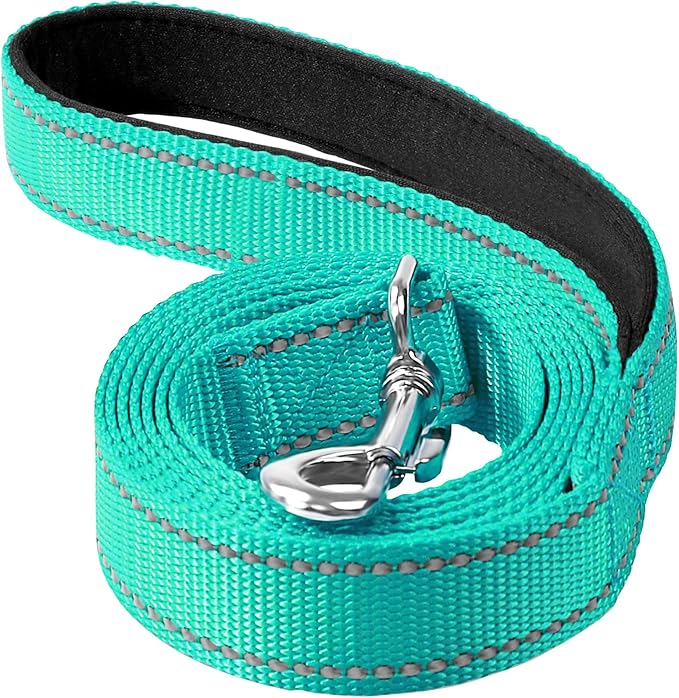6FT Reflective Dog Leash, Padded Handle for Medium Large Dogs | Comfortable Nylon, Soft Handle Cushioning, Reflective Safety at Night, Walking Leash for Park & Hiking (1in, Turquoise) by Erbine