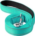 4FT Reflective Dog Leash, Padded Handle for Medium Large Dogs | Comfortable Nylon, Soft Handle Cushioning, Reflective Safety at Night, Training Leash for Park & Hiking (1in, Turquoise) by Erbine