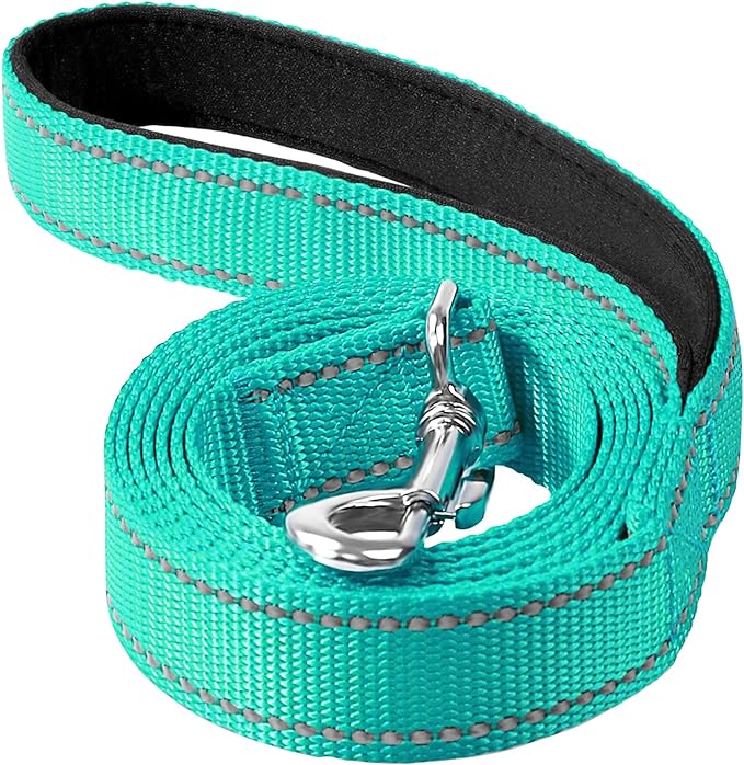 4FT Reflective Dog Leash, Padded Handle for Medium Large Dogs | Comfortable Nylon, Soft Handle Cushioning, Reflective Safety at Night, Training Leash for Park & Hiking (1in, Turquoise) by Erbine