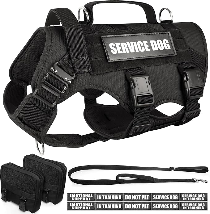 Tactical Dog Harness with Dog Leash, Service Working MOLLE Vest with 10 Pet Patches for Large Dog, No Pull Military Harness and Backpack for Training Hunting Walking by WINSEE