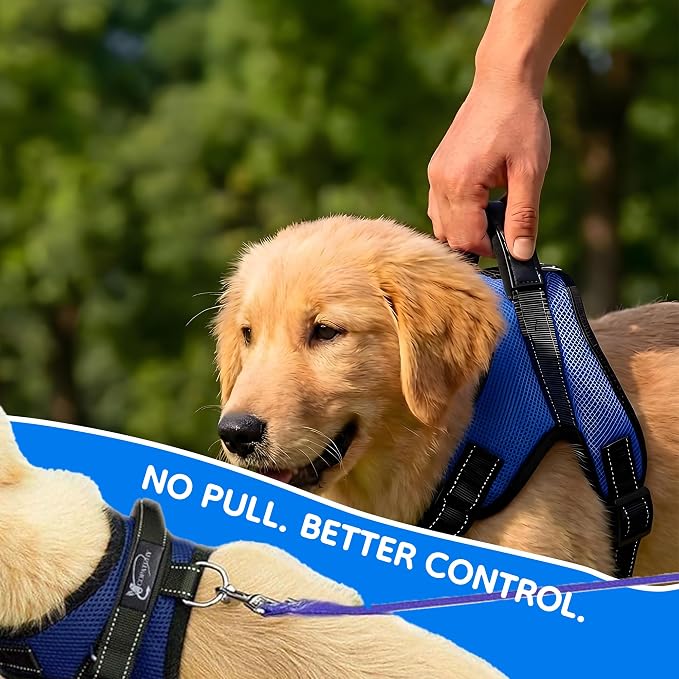 No Pull Reflective Adjustable Dog Harness With Handle- Comfortable Soft All Weather Mesh, Easy On Puppy Harness For Small Medium and Large Dogs (Blue) Medium - Image 6