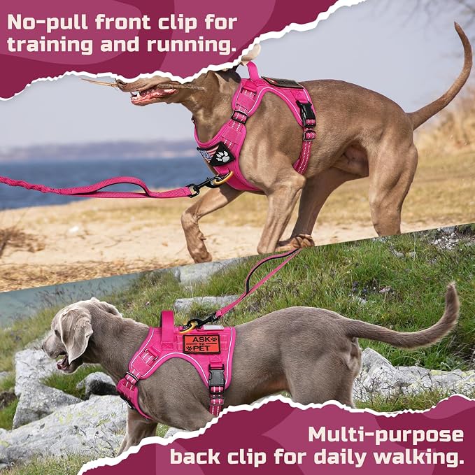 rabbitgoo Tactical Dog Harness for X-Large, No Pull Military Service Vest | Molle & Handle, Heavy Duty, Adjustable, Reflective Straps, Easy Control for Training Walking, Rose Red, X-Large - Image 7