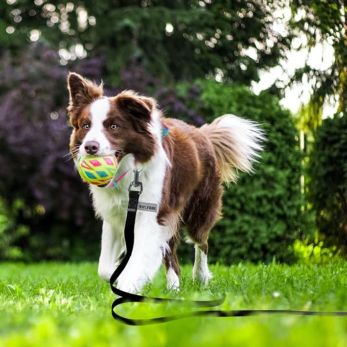 Wolfone Waterproof Dog Leash 20FT Long Line Recall Training Lead | Long Dog Lead PVC coated waterproof leash with easy clean surface strong training rope for recall, hiking and beach trips - Image 3