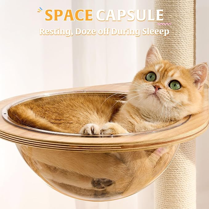 Solid Wood Cat Tree Tower with Scratching Post, 61 Inches Tall Cat Towers with Capsule and Condo, Modern Cat Tower with Hammock and Removable Top Bed for Indoor Cats.White - Image 4