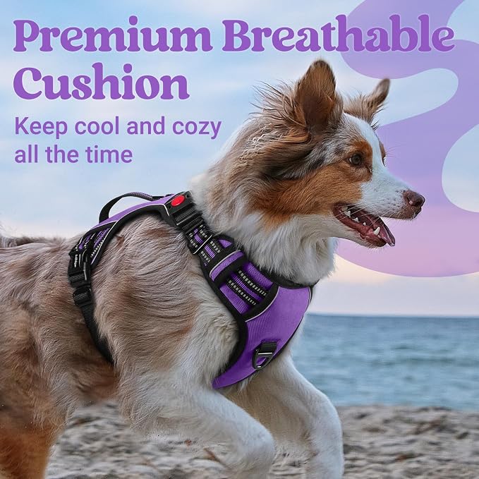 rabbitgoo Large Dog Harness, Easy Wear with 3 Buckles and Lift Handle | No Pull with Front Clip for Walking, Adjustable Soft Padded, Reflective, Easy Control, Purple, Small - Image 7