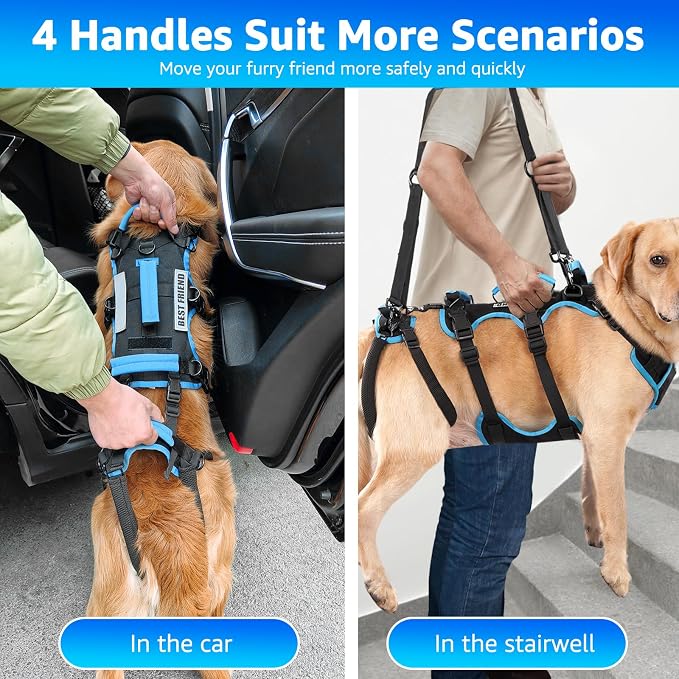 Dog Lift Harness for Large Male Dogs, 2-in-1 Detachable Support Harness, Full Body Carrying with 4 Handles, Dog Sling for Large Dogs Hind Leg Support(Black, X-Large) - Image 3
