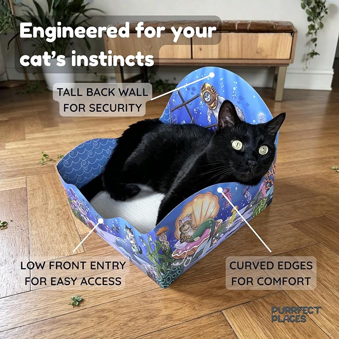 Themed Cardboard Cat House & Scratcher | Underwater Theme | Enclosed Privacy Bed and Premium Corrugated Scratch Pad for Small, Medium & Large Indoor Cats, 13.5 inches (Meow Reef) - Image 5