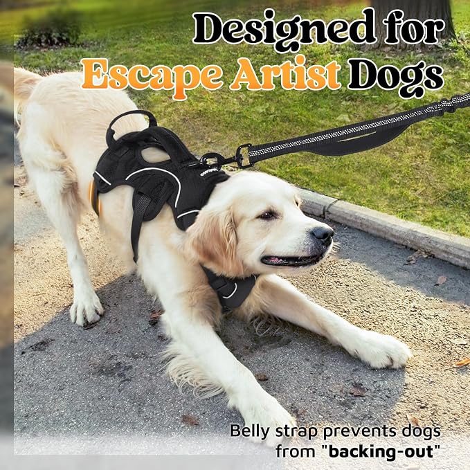 rabbitgoo Escape Proof Dog Harness for Medium, No Pull with Lift Handle | No Escape, Full Soft Padded, Reflective Adjustable Vest, Leash Clip for Walking Hiking Training, Black, Medium - Image 3