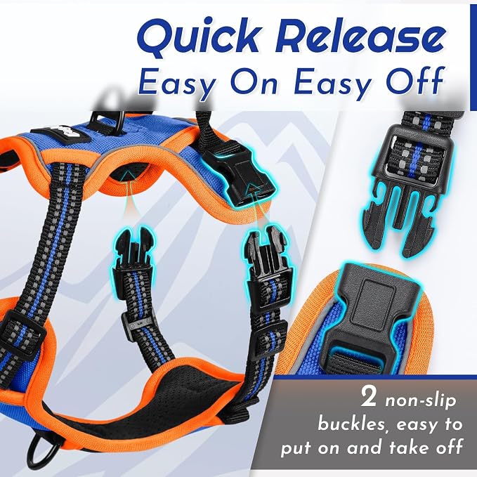 Eagloo Dog Harness for Small Dogs, No Pull Pet Vest with 2 Leash Clips | No Choke with Handle, Adjustable Comfort Fit, Reflective Strips, Easy Walking Control, Blue & Orange, Small - Image 6