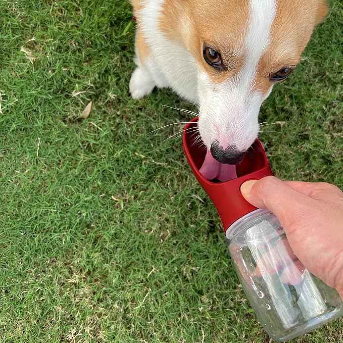 WePet Portable Dog Water Bottle, 19 OZ, Leak Proof Puppy Water Dispenser with Drinking Feeder for Pets Outdoor Walking, Hiking, Travel, Food Grade Plastic - Image 2