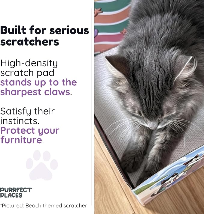 Themed Cardboard Cat House & Scratcher | Space Theme | Enclosed Privacy Bed and Premium Corrugated Scratch Pad for Small, Medium & Large Indoor Cats, 13.5 inches (Meow Moon) - Image 3