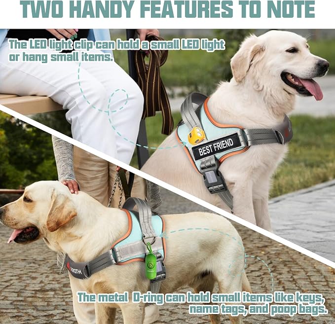 AUROTH Dog Harness and Leash Set for Large Sized Dog, No Pull Dog Vest | with Leash Clips, LED light clip, Soft Padded No Choke, Escape Proof, Easy Walking and Training, Macaron Blue, XL - Image 3