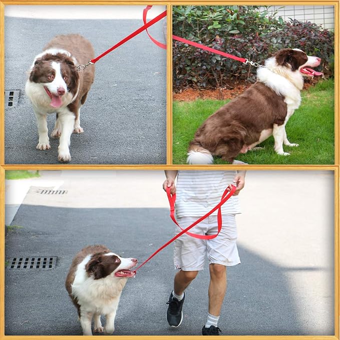 AMAGOOD 6 FT Puppy/ Dog Leash, Strong and Durable Traditional Style Leash with Easy to Use Collar Hook, Great for Small, Medium and Large Dogs (1 in x 6 ft, Red) - Image 3