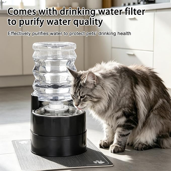 RIZZARI 5L Automatic Cat Water Dispenser: Elevated Filtered Cat Bowl | Durable Construction/Stable Base/Gravity Water Flow/Odor Reduction Filter/Elevated Drinking Position/Ideal for Indoor Spaces - Image 4
