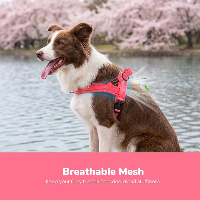 No Pull Dog Harness for Medium Dogs, Breathable Mesh Padded, Pink, M | Quick Fit, Easy On and Off, Lightweight, Reflective Vest Harness for Night Safty, Easy for Walking and Training, Chest 21-26" - Image 2