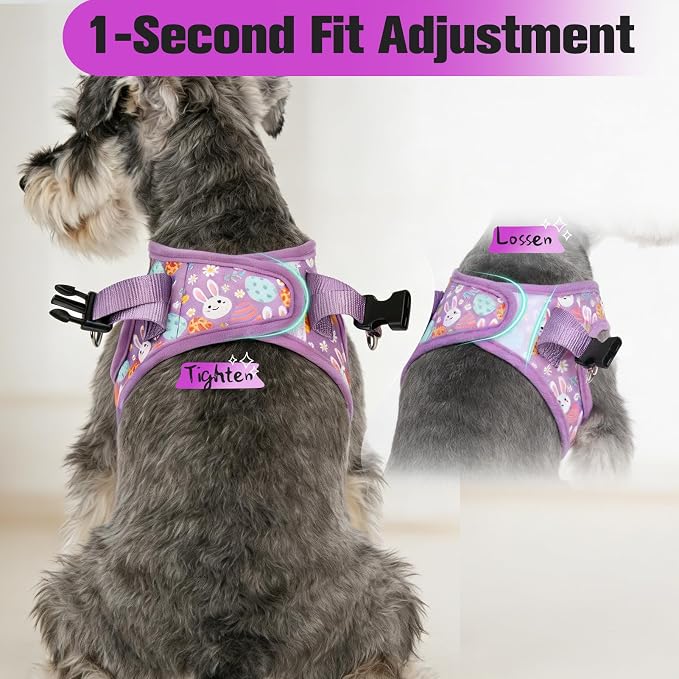 Easter Small Dog Harness - Dog Collar and Leash Set - Soft Mesh Padded Adjustable Step in Puppy Vest Harness No Pull, Reflective Escape Proof for Outdoor Walking, Bunny Egg S - Image 5