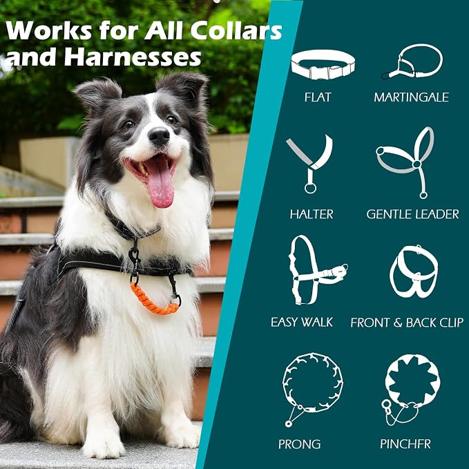 PetBonus Dog Collar Safety Clip, Handmade Prong Collar to Harness Connector | Dog Leash Backup Safety Strap, Escape Proof, Double Ended Clasp, Lead Connector for Pinch Collar, Harness (Orange) - Image 3
