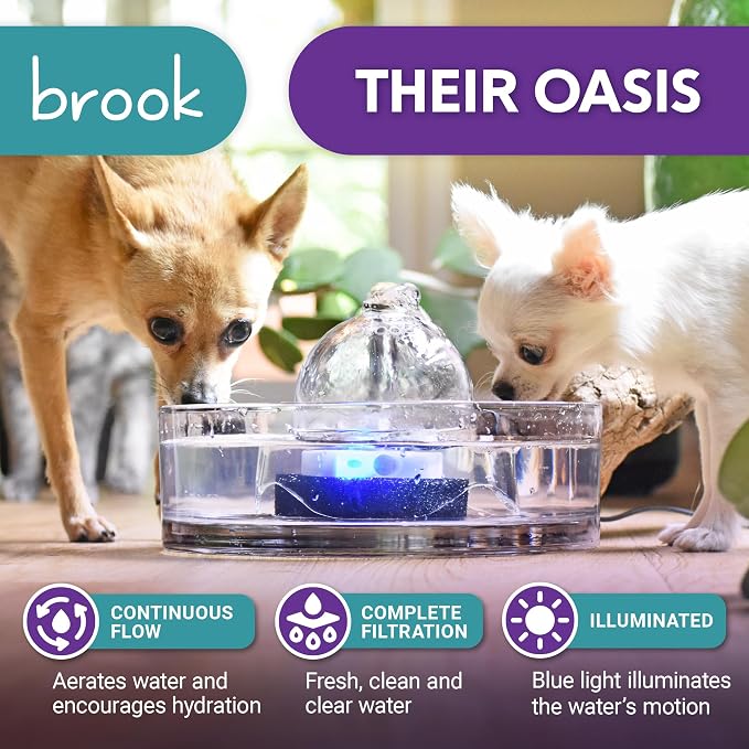 Brook Glass Cat Water Fountain 90oz – Dishwasher Safe Pet & Dog Fountain | Automatic 2.7L drinking water dispenser – quiet, easy to clean glass bowl, filters included – for indoor cats, kittens & dogs - Image 2