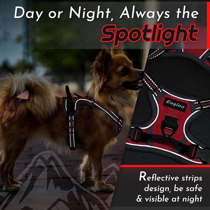 Eagloo Dog Harness for Small Dogs, No Pull Pet Vest with 2 Leash Clips | No Choke with Handle, Adjustable Comfort Fit, Reflective Strips, Easy Walking Control, Red, X-Small - Image 8
