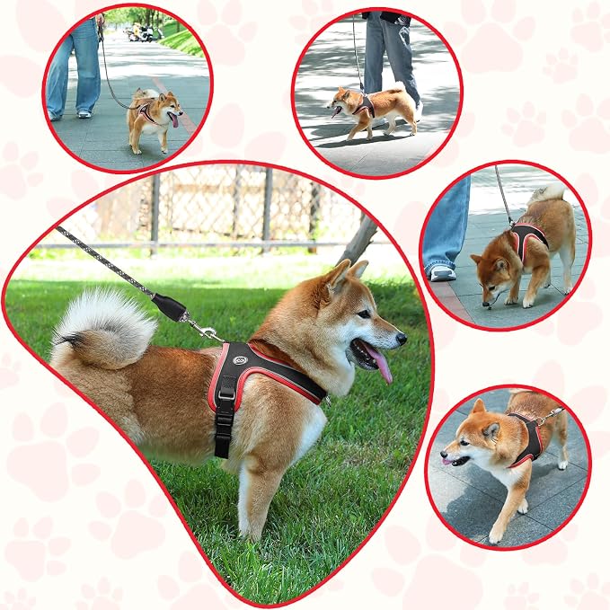 Dog Harness and Leash Set, No Pull Saddle Style Pet Harness, Breathable Mesh Adjustable Reflective Dog Vest for Medium Small Dogs Harness 2 D-Rings, Black, XS - Image 6