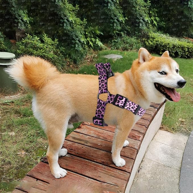 Dog Harness Leash Set Adjustable Heavy Duty No Pull Halter Harnesses for Small Medium Large Breed Dogs Back Clip Anti-Twist Perfect for Walking - Image 6