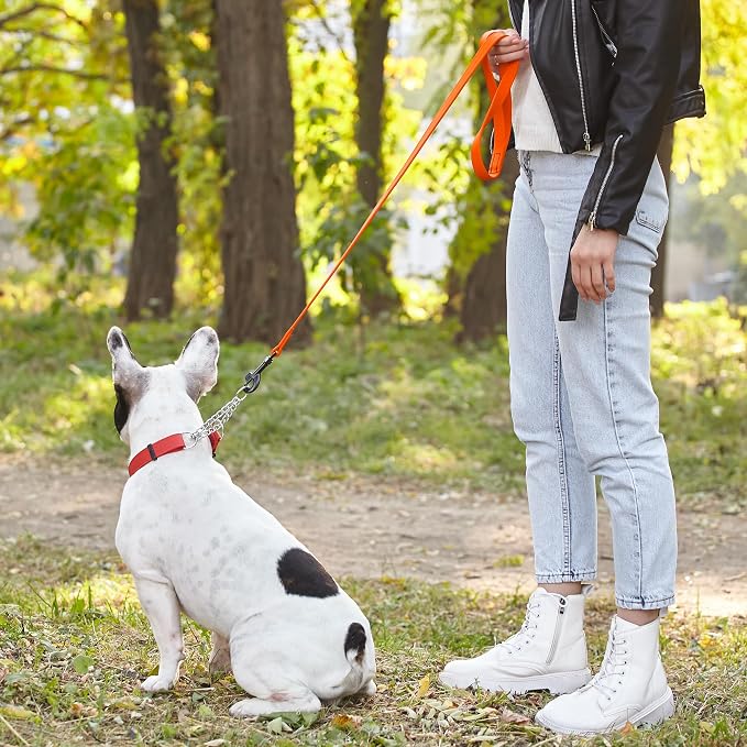 Dogline Biothane Waterproof Dog Leash Strong Coated Nylon Webbing with Black Hardware Odor-Proof Easy to Clean High Performance for Small or Large Dogs Made in USA 2 ft Lead, Hunter Orange - Image 7