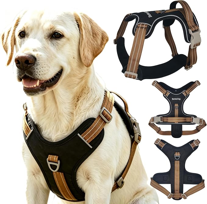 No Pull Reflective Dog Harness, 2 Zinc Alloy D-Rings Escape Proof Vest with Thickened Handle, Breathable 300D Polyester Mesh for Small Medium Large Dogs by Bettering