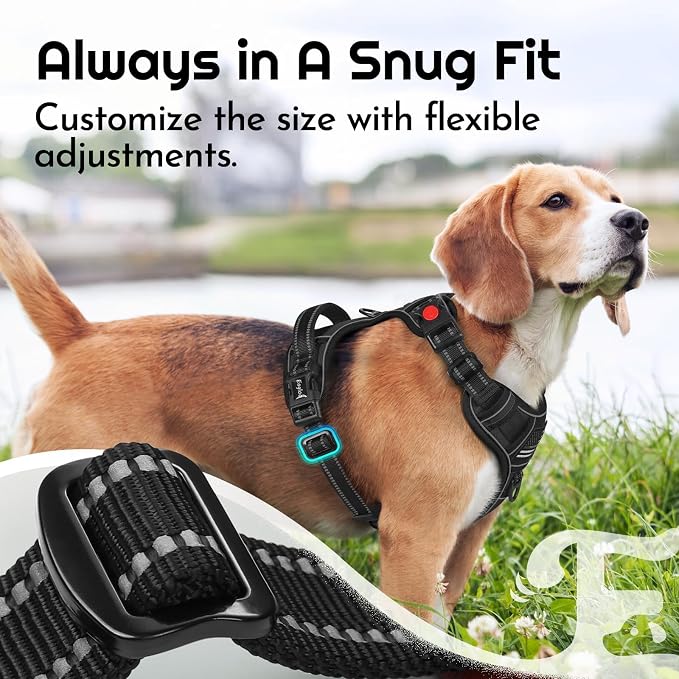 Eagloo Dog Harness No Pull for Large Dogs, Easy On & Off with 3 Buckles | No Choke with Front Clip, Adjustable Fit, MOLLE System, Reflective Vest, Easy Control for Walking, Black, Large - Image 7