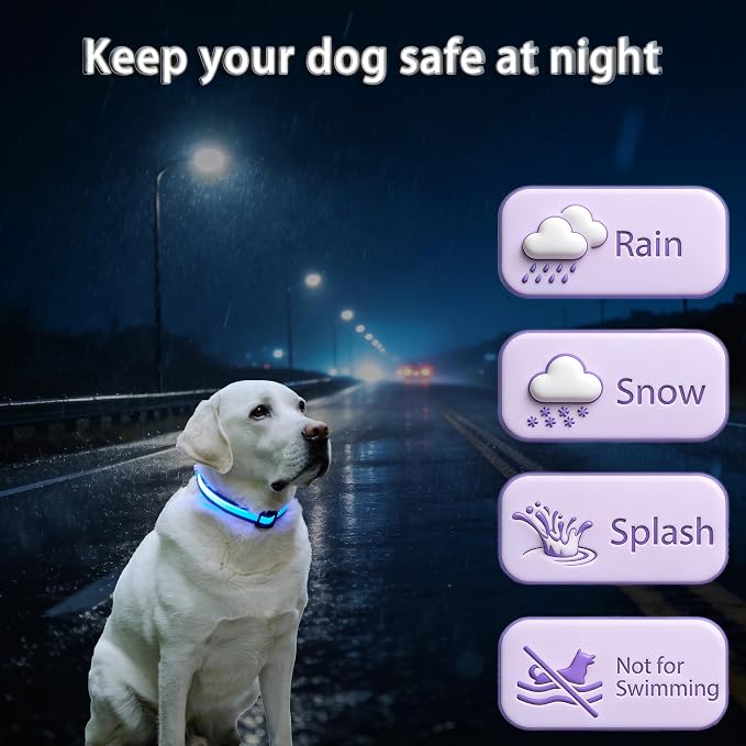 USB Rechargeable LED Dog Collar, Waterproof, Adjustable, Glowing, for Large Dogs, Night Walking, Camping, Jogging, Blue, L (Neck 18-28", Width 1") - Image 3
