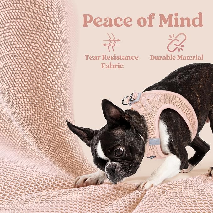 rabbitgoo Step-in Small Dog Harness, Puppy Vest for Small Medium Sized Pet | Easy Put on and off, Lightweight, Soft, Breathable Quick-Dry Air Mesh for Comfortable Secure Walking, Pink XL - Image 7