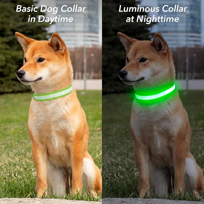 Visinite LED Dog Collar USB Rechargeable, Reflective Light Up Pet Collar for Night Walking, Adjustable Glow Collar for Small Medium Large Dogs (Green, L) - Image 5