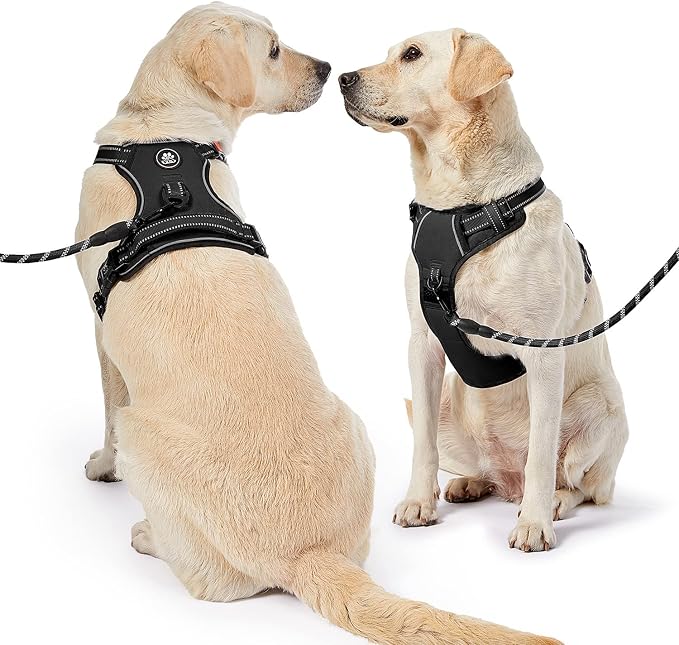 NESTROAD No Pull Dog Harness,Adjustable Oxford Dog Vest Harness with Leash,Reflective No-Choke Pet Harness with Easy Control Soft Handle for Small Dogs(X-Small,Black) - Image 2