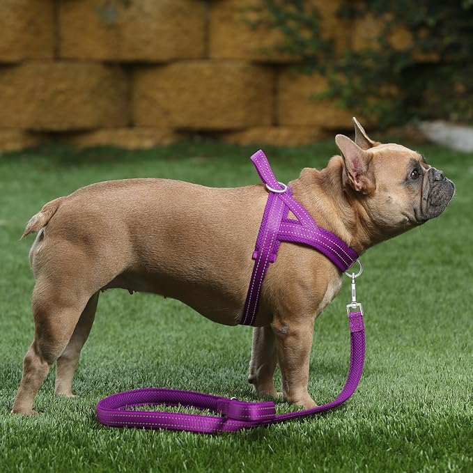 Plutus Pet No Pull Dog Harness for Medium Sized Dog, Breathable Mesh Padded | Adjustable Reflective with Handle, Escape Proof, Quick Fit Pet Vest, Front Clip, for Training and Walking, Purple, M - Image 5