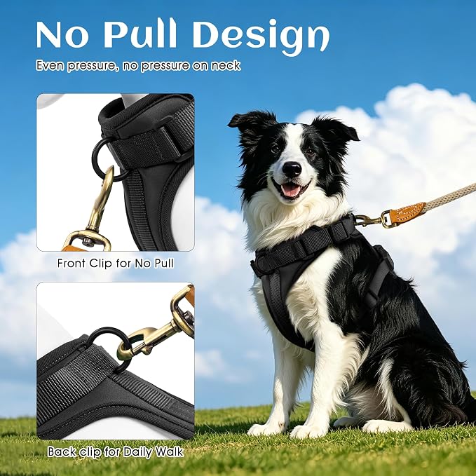 Wisedog Lightweight No Pull Dog Harness, Black, X-Small | Air Mesh, 3 Clips, Adjustable, No Choke Design, Ideal for Walking Training - Image 4