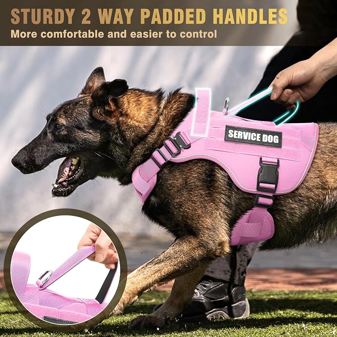 2X Metal Buckle Service Working MOLLE Dog Vest with 10 Pet Patches | Tactical Dog Harness for Large Dog, No-pull Military Working Vest for Training Hunting Walking，2x D Rings for Leash Clip - Image 9