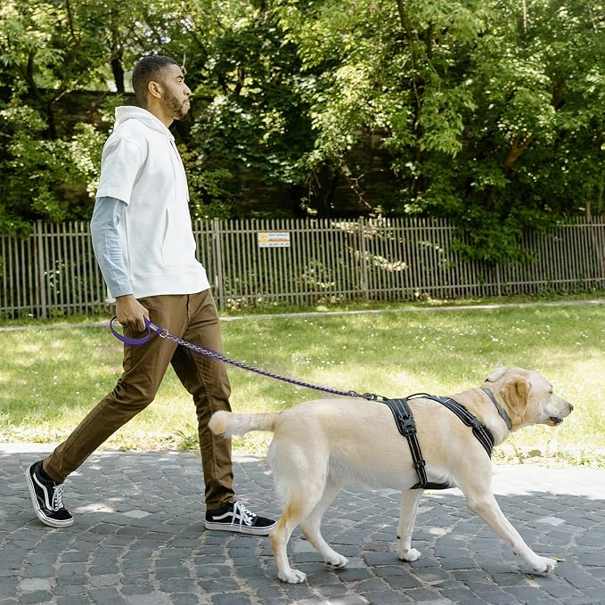 S-ETOVUS-Chain Dog Leash, Bite-Proof Metal Leash, with Padded Handle | Three Sizes 7.25FT/5.2FT/4FT, Woven From Nylon Rope And Chain, Durable And Bite-Resistant, Comfortable With Padded Handles - Image 6
